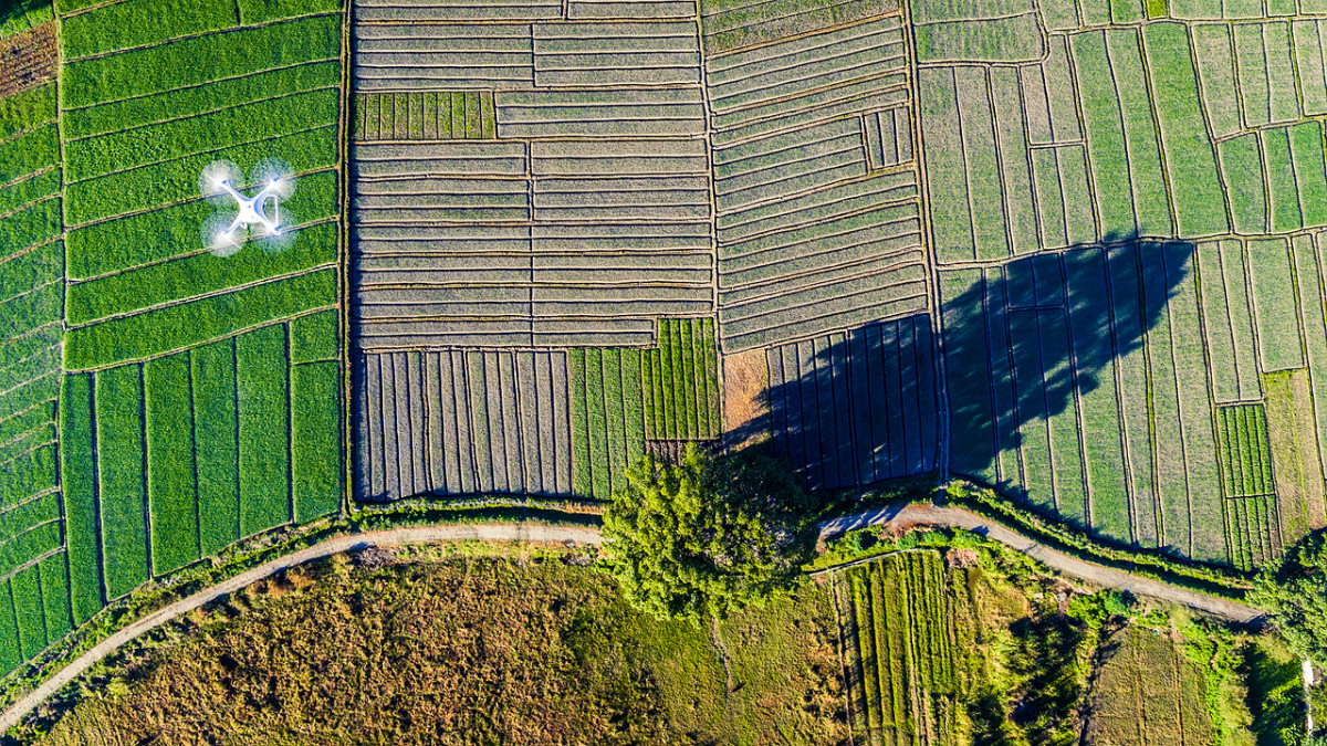 El Concurso De Fotografía Aérea Skypixel Muestra Las Mejores Imágenes